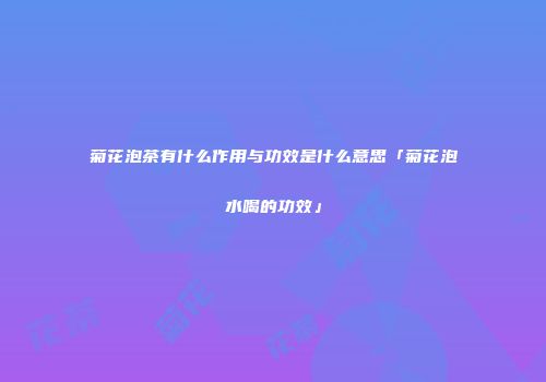菊花泡茶有什么作用与功效是什么意思「菊花泡水喝的功效」