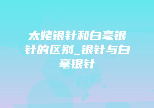 太姥银针和白毫银针的区别_银针与白毫银针