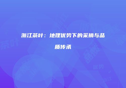 浙江茶叶：地理优势下的采摘与品质传承