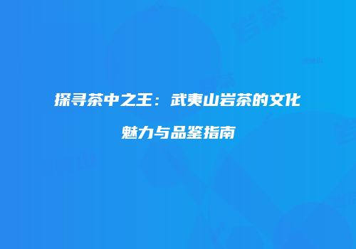 探寻茶中之王：武夷山岩茶的文化魅力与品鉴指南