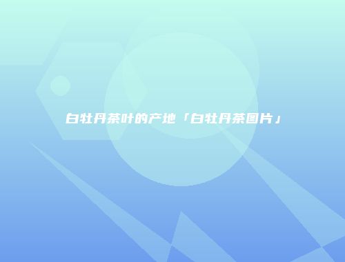 白牡丹茶叶的产地「白牡丹茶图片」