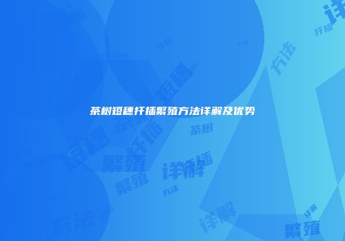 茶树短穗扦插繁殖方法详解及优势