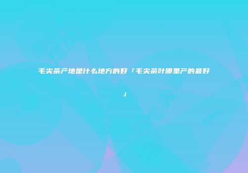 毛尖茶产地是什么地方的好「毛尖茶叶哪里产的最好」