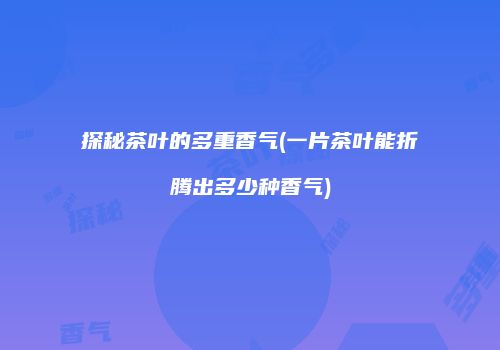 探秘茶叶的多重香气(一片茶叶能折腾出多少种香气)