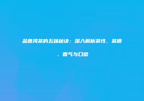 品普洱茶的五味秘诀：深入解析茶性、茶质、香气与口感