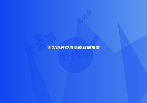 毛尖茶种类与品质鉴别指南
