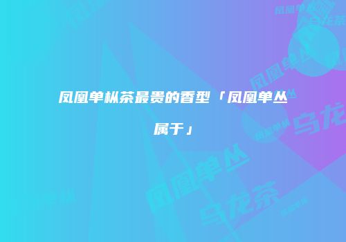 凤凰单枞茶最贵的香型「凤凰单丛属于」
