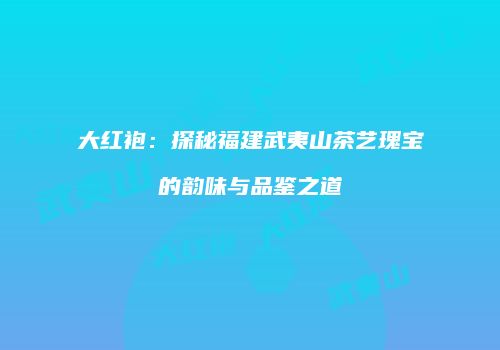 大红袍：探秘福建武夷山茶艺瑰宝的韵味与品鉴之道