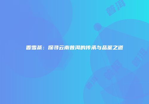 香雪茶：探寻云南普洱的传承与品鉴之道