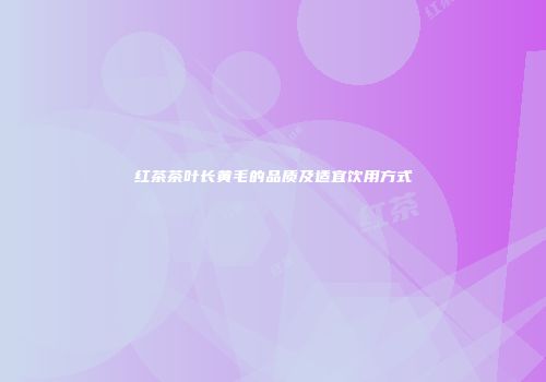 红茶茶叶长黄毛的品质及适宜饮用方式