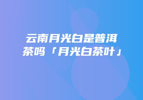 云南月光白是普洱茶吗「月光白茶叶」