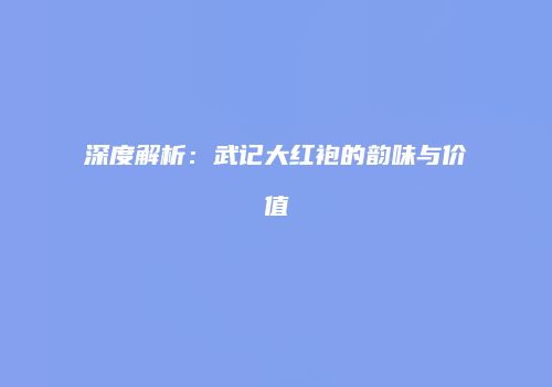 深度解析：武记大红袍的韵味与价值