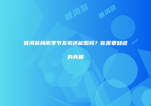 普洱茶梅雨季节发霉还能喝吗？你需要知道的真相