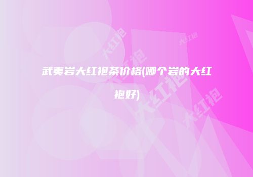 武夷岩大红袍茶价格(哪个岩的大红袍好)