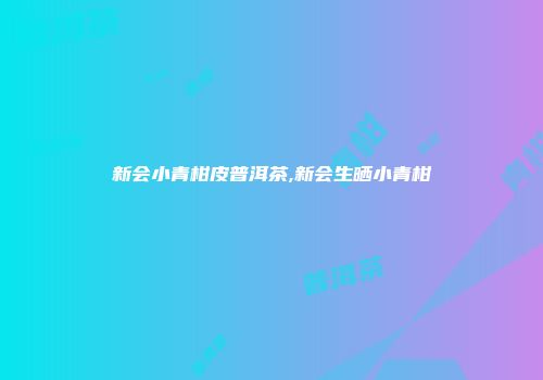 新会小青柑皮普洱茶,新会生晒小青柑