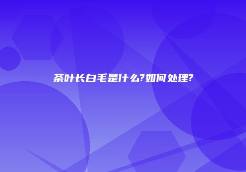 茶叶长白毛是什么?如何处理?