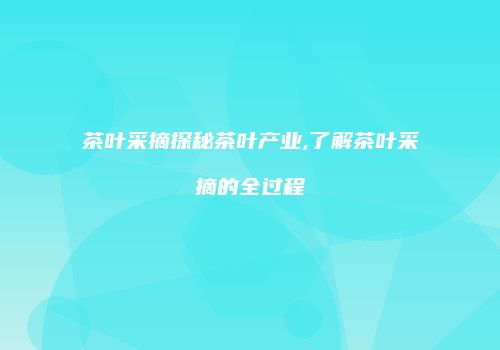 茶叶采摘探秘茶叶产业,了解茶叶采摘的全过程