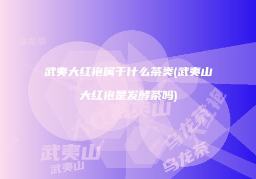 武夷大红袍属于什么茶类(武夷山大红袍是发酵茶吗)