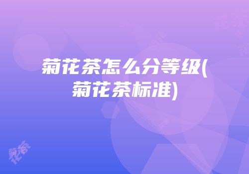 菊花茶怎么分等级(菊花茶标准)