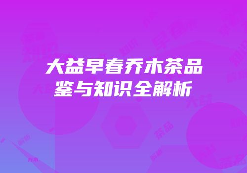 大益早春乔木茶品鉴与知识全解析