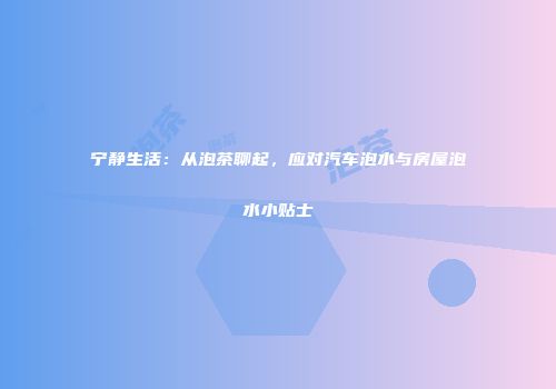 宁静生活：从泡茶聊起，应对汽车泡水与房屋泡水小贴士
