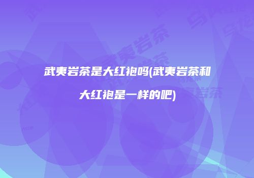 武夷岩茶是大红袍吗(武夷岩茶和大红袍是一样的吧)