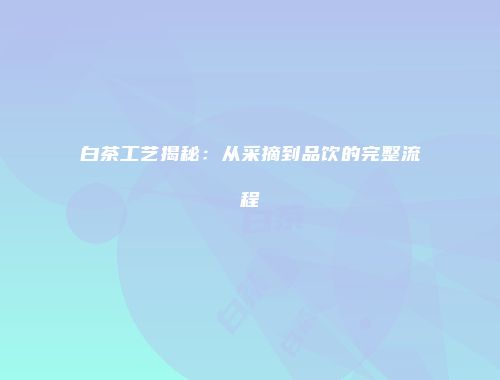 白茶工艺揭秘：从采摘到品饮的完整流程