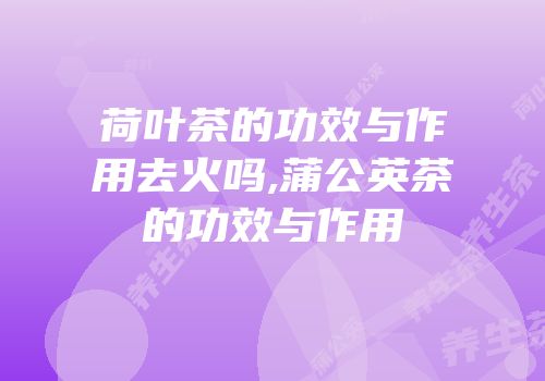 荷叶茶的功效与作用去火吗,蒲公英茶的功效与作用