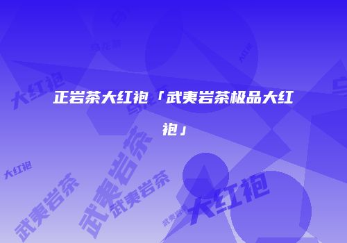 正岩茶大红袍「武夷岩茶极品大红袍」