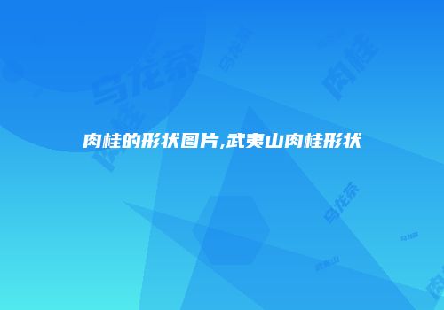 肉桂的形状图片,武夷山肉桂形状