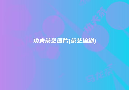 功夫茶艺图片(茶艺培训)