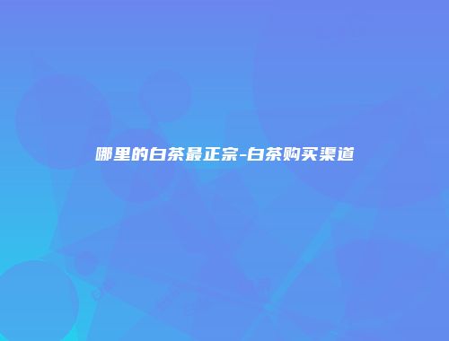 哪里的白茶最正宗-白茶购买渠道