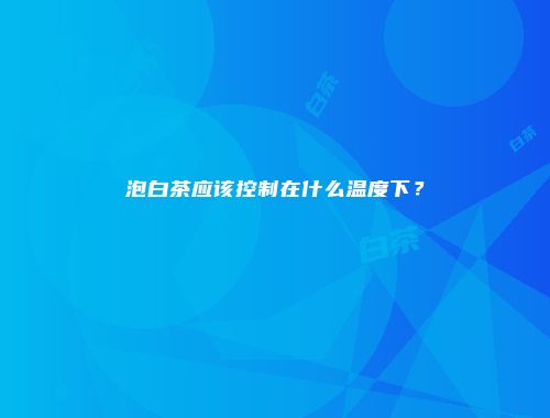 泡白茶应该控制在什么温度下？