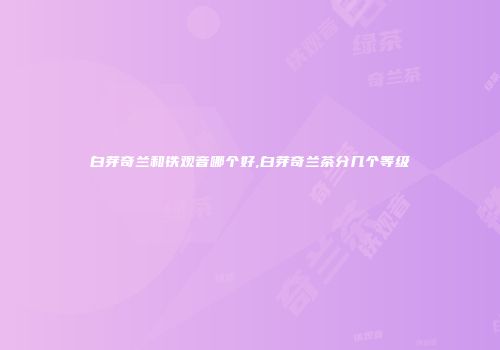 白芽奇兰和铁观音哪个好,白芽奇兰茶分几个等级