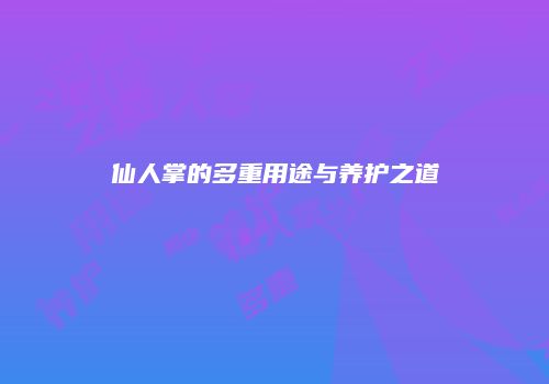 仙人掌的多重用途与养护之道