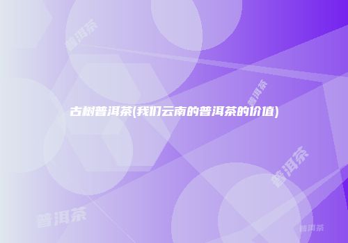 古树普洱茶(我们云南的普洱茶的价值)