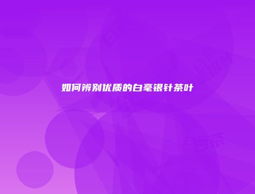 如何辨别优质的白毫银针茶叶