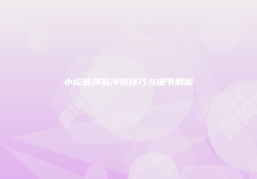 小坨普洱茶冲泡技巧与细节解析