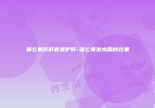 蒲公英伤肝还是护肝-蒲公英泡水喝的效果