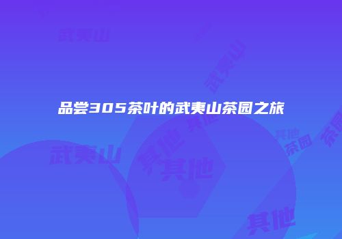 品尝305茶叶的武夷山茶园之旅