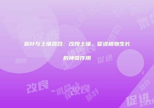 茶叶与土壤混合：改良土壤、促进植物生长的神奇作用