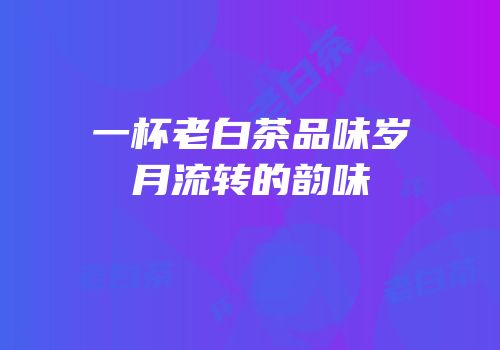 一杯老白茶品味岁月流转的韵味