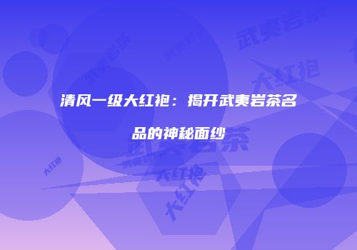 清风一级大红袍：揭开武夷岩茶名品的神秘面纱