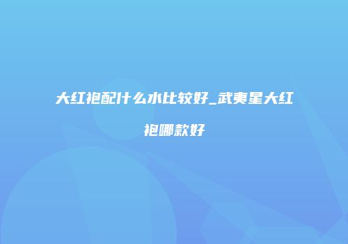 大红袍配什么水比较好_武夷星大红袍哪款好