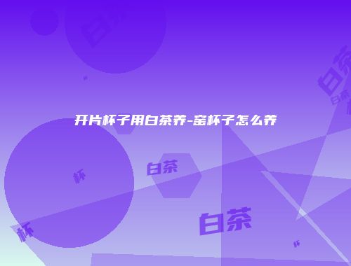 开片杯子用白茶养-窑杯子怎么养