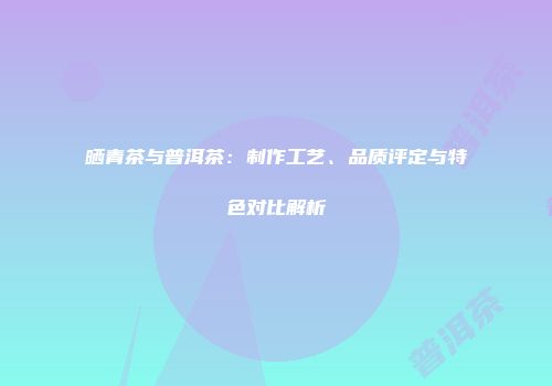 晒青茶与普洱茶：制作工艺、品质评定与特色对比解析