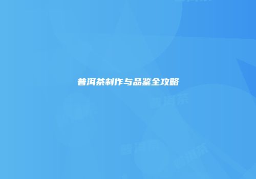 普洱茶制作与品鉴全攻略
