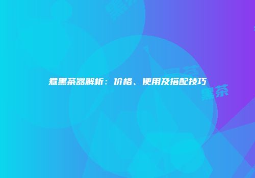 煮黑茶器解析：价格、使用及搭配技巧