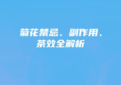 菊花禁忌、副作用、茶效全解析
