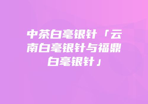 中茶白毫银针「云南白毫银针与福鼎白毫银针」
